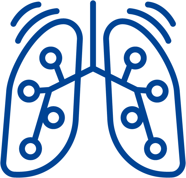 Lunge inklusive kleinen Abzweigungen in der Lunge, die die Bronchien darstellen. Frontalansicht in blau gezeichnet.