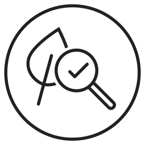 Icon Blatt mit Lupe Rezeptur