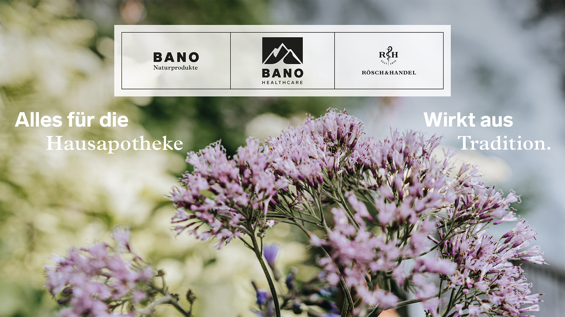 Ausschnitt Blüte Wasserdost vor Wasserfall, Firmenlogos, Alles für die Hausapotheke, Wirkt aus Tradition